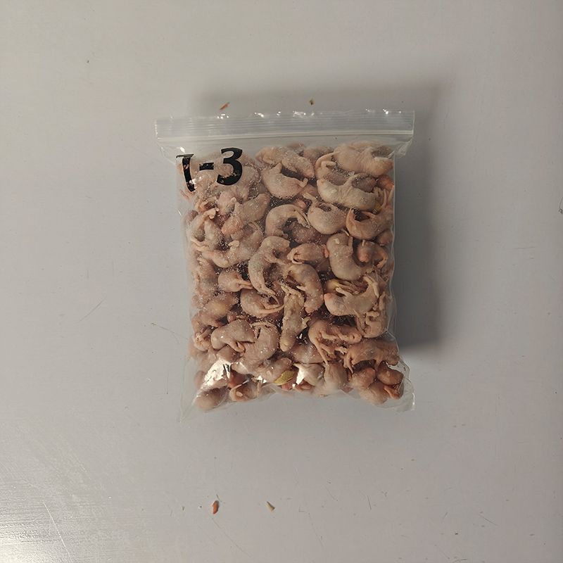 Frozen Pinkie Ratten