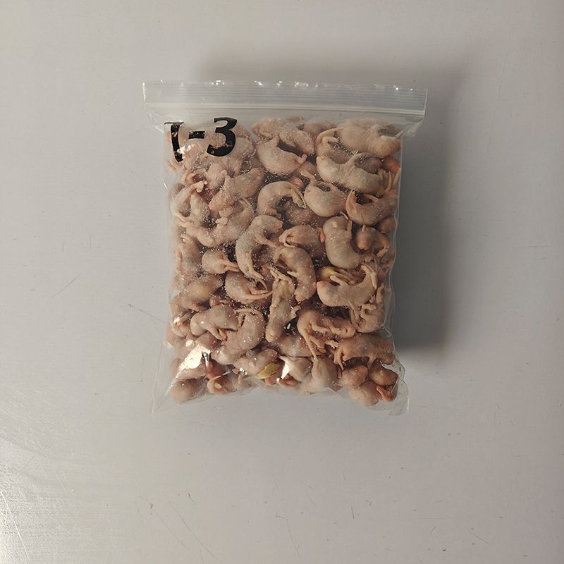 Bevroren pupratten