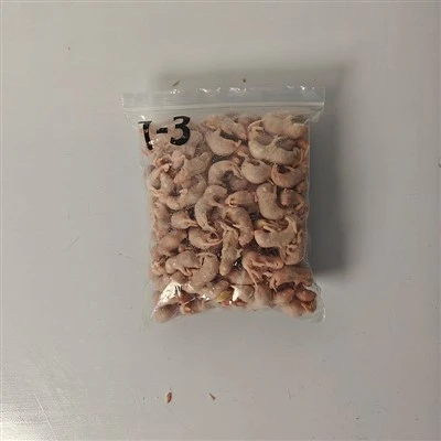 Frozen Pinkie Ratten
