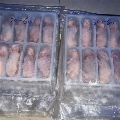 Bevroren konijnen voor reptielen