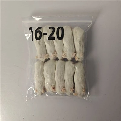 Bevroren ratten voor slang