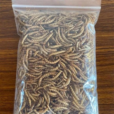 Leopard gekko gedroogde meelwormen
